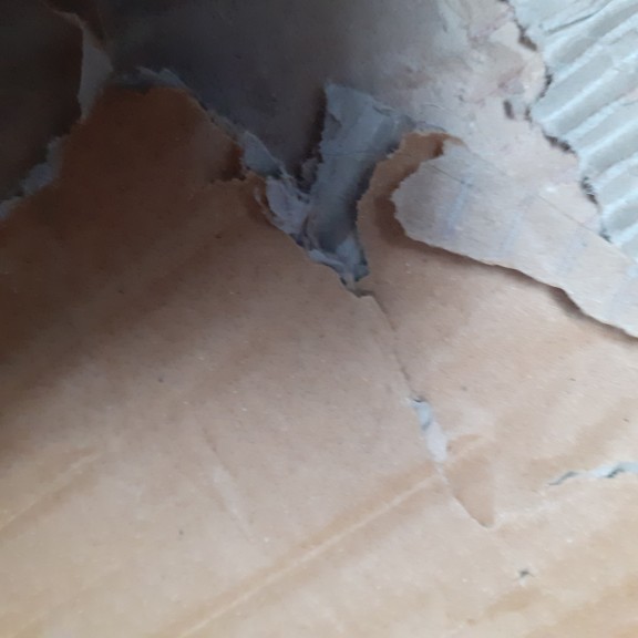 recycle4.me: original_20230702_173435.jpg
