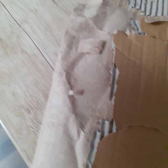 recycle4.me: original_20230702_173305.jpg