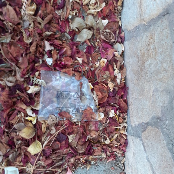 recycle4.me: original_20230712_165854.jpg