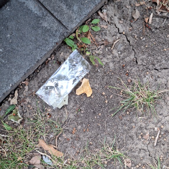 recycle4.me: original_20230804_195800.jpg