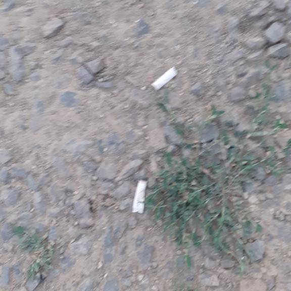 recycle4.me: original_20230711_212940.jpg