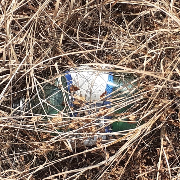 recycle4.me: original_20230704_163534.jpg