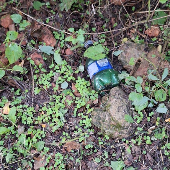 recycle4.me: original_20230803_204809.jpg