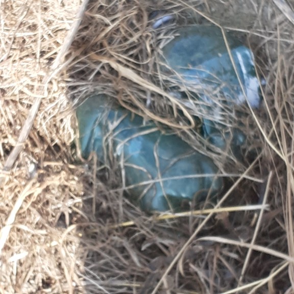 recycle4.me: original_20230704_163558.jpg