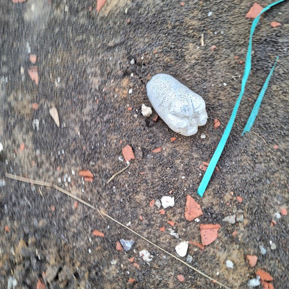 recycle4.me: original_20230807_203203.jpg