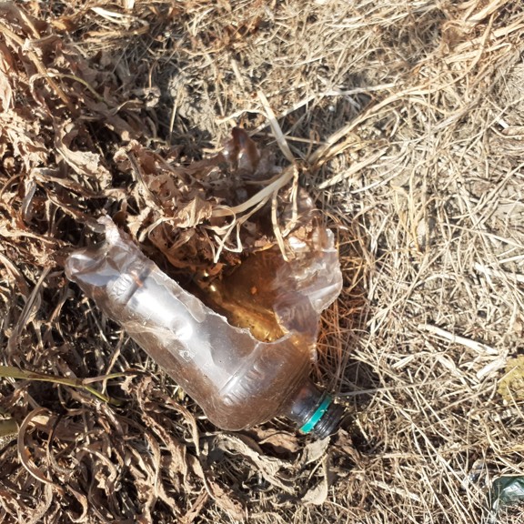 recycle4.me: original_20230704_163311.jpg