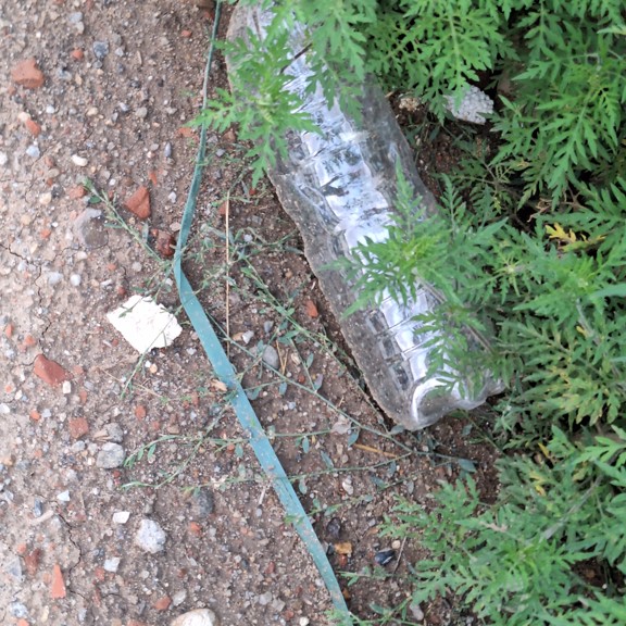 recycle4.me: original_20230807_203303.jpg
