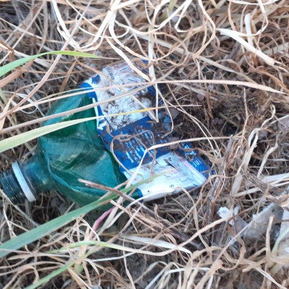 recycle4.me: original_20230702_205845.jpg